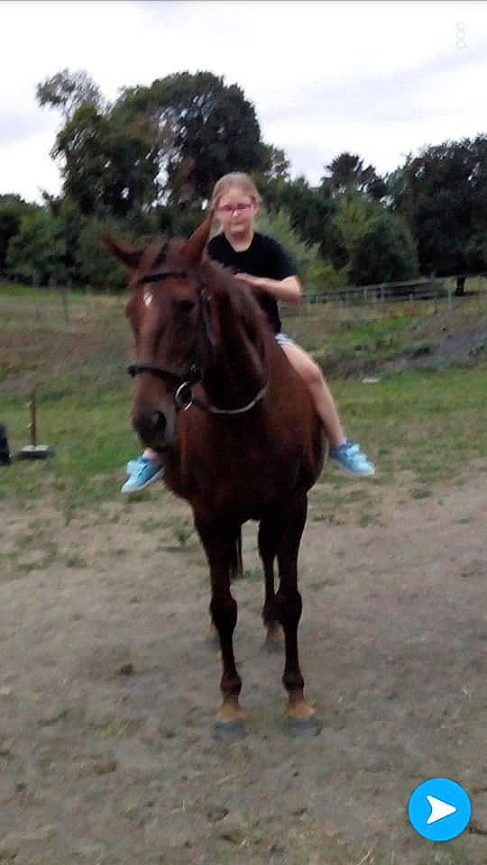 Tiffany a rejoint le concours — aidez-le/la à gagner de superbes lots ! animal_training, bridle, english_riding, equestrianism, equitation, horse, horse_harness, horse_like_mammal, horse_supplies, horse_tack, hunt_seat, mane, mare, mustang_horse, pack_animal, person, ranch, rein, saddle, stallion