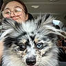 Theo is registered to the contest to win money with this photo: dog, fluffy_dog, heterochromia, blue_eye, brown_eye, tongue_out, open_mouth, pet, animal, portrait, close_up, selfie, person, glasses, smiling, car, vehicle_interior, seated, fur, outdoor_reflection