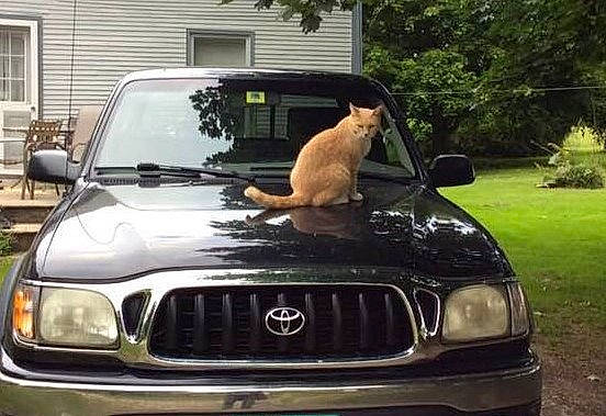 Hope joined the competition — help win amazing prizes! automotive_design, automotive_exterior, automotive_fog_light, automotive_lighting, automotive_mirror, automotive_tire, bumper, car, fender, grille, headlamp, hood, motor_vehicle, personal_luxury_car, plant, rear_view_mirror, vehicle, vehicle_registration_plate, window, windscreen_wiper