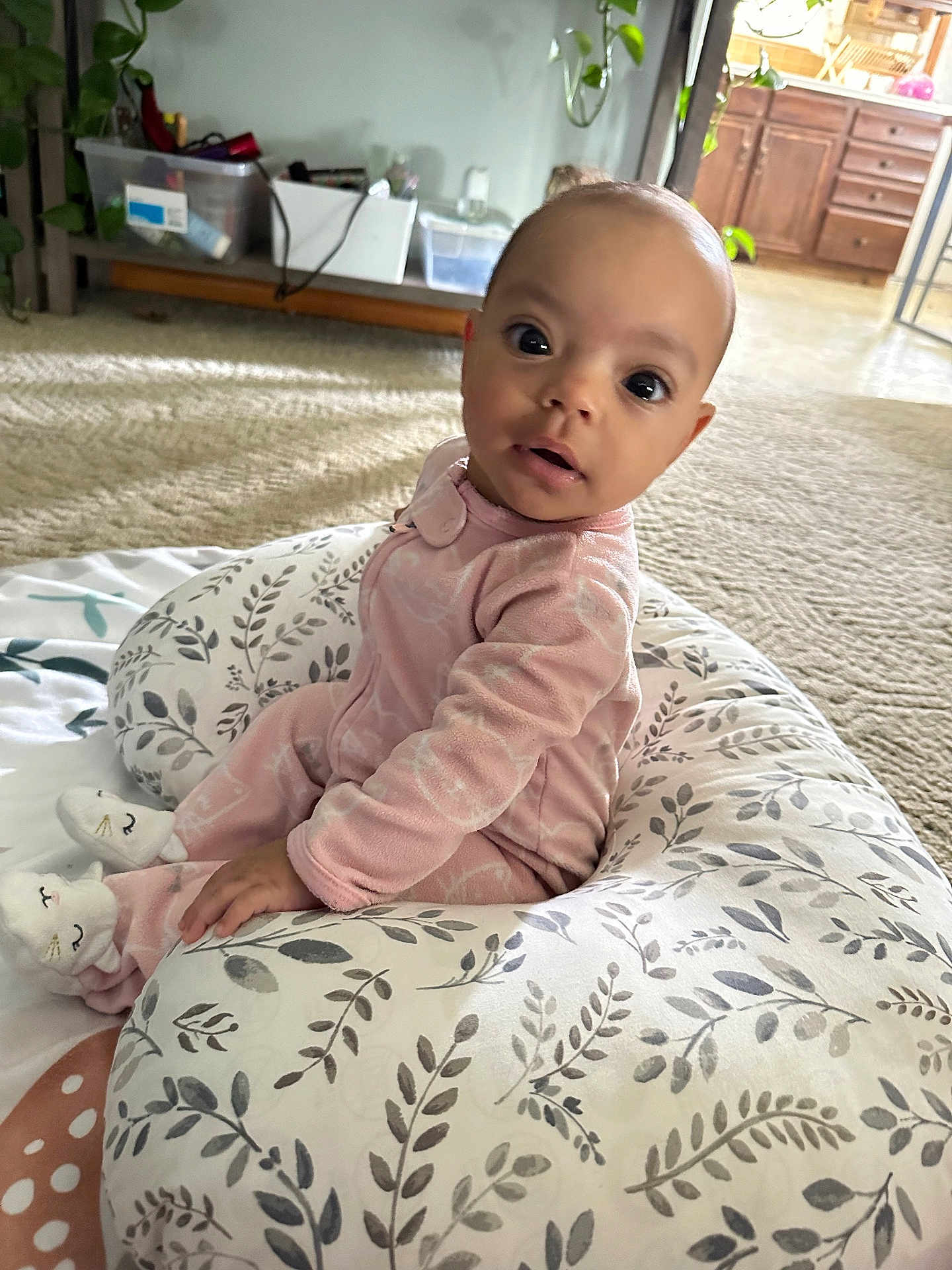 Nova