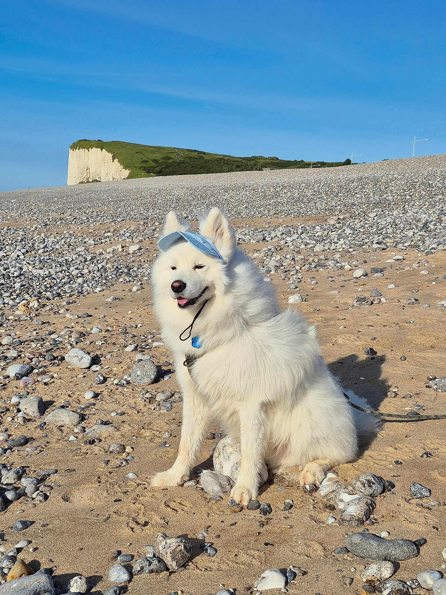 Pepsi participe au concours pour gagner de l'argent avec cette photo : dog, white_dog, beach, sand, rocks, visor_hat, sunny, outdoor, nature, smiling, pet, fluffy, canine, collar, leash, landscape, cliff, blue_sky, daytime, happy