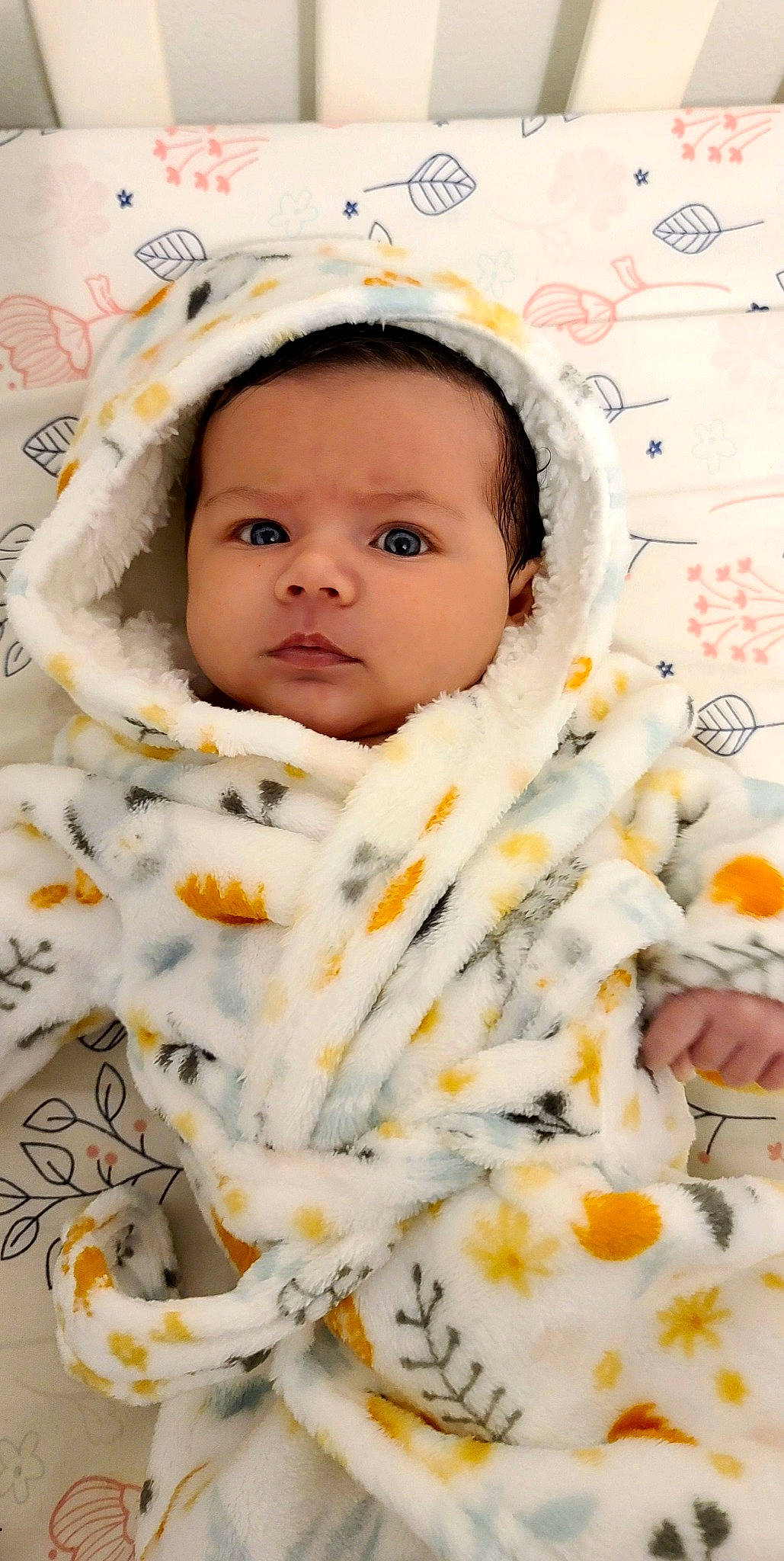 Sydney joined the competition — help win amazing prizes! baby, baby_toddler_clothing, cheek, child, comfort, flower, fun, fur, gesture, happy, linens, orange, pattern, people_in_nature, person, petal, product, room, textile, toddler