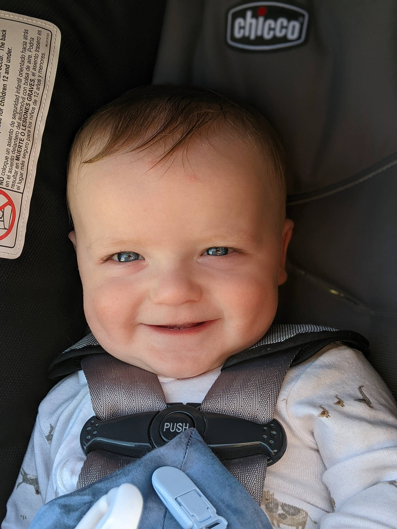 Oliver is registered to the contest to win money with this photo: auto_part, baby, baby_products, baby_toddler_clothing, car_seat, cheek, child, collar, comfort, electric_blue, fashion_accessory, flash_photography, happy, head_restraint, joy, outerwear, person, sitting, sleeve, smile