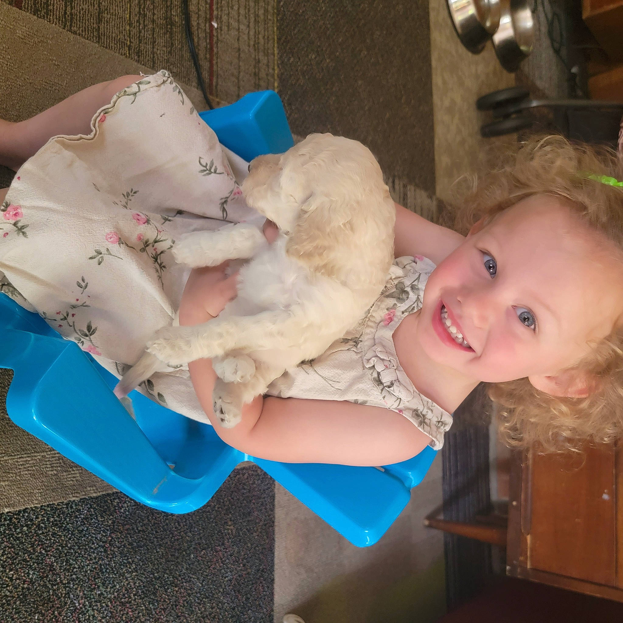 Leighton joined the competition — help win amazing prizes! baby, baby_products, baby_toddler_clothing, child, companion_dog, fawn, fun, fur, happy, joy, lap, person, room, sitting, smile, stuffed_toy, tail, teddy_bear, toddler, toy