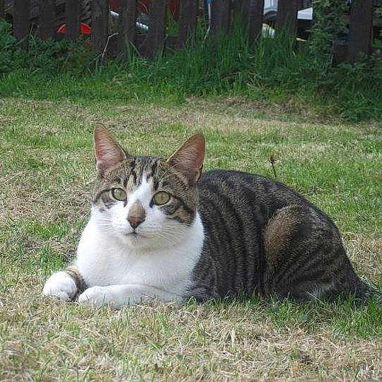 Kittie joined the competition — help win amazing prizes!