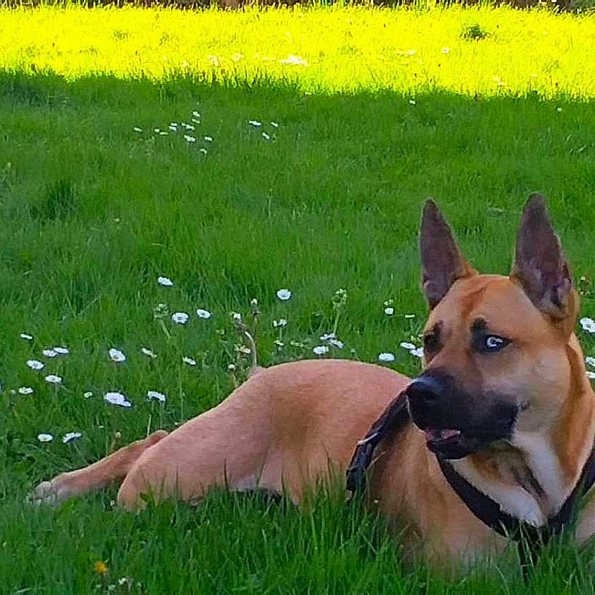 Nikita
