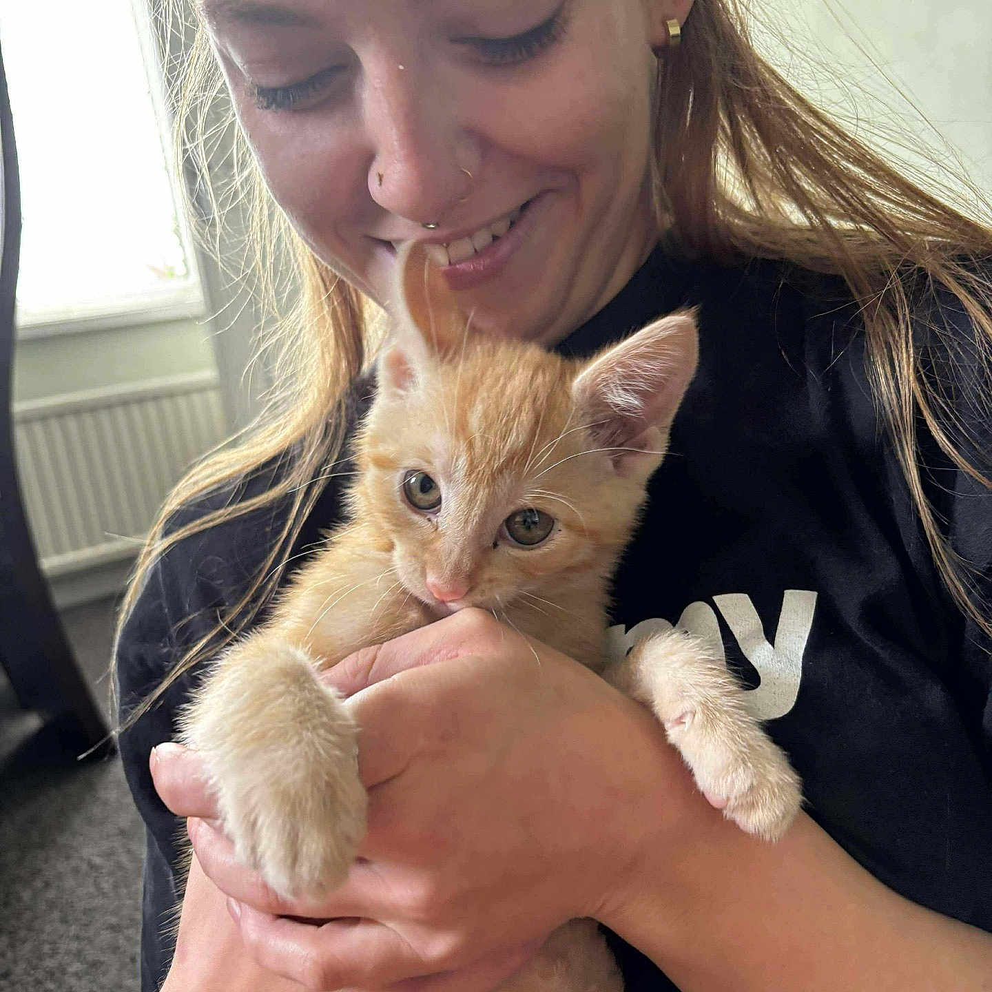Kingsmill is registered to the contest to win money with this photo: affection, animal, casual_clothing, cat, closeup, comfort, cute, domestic_animal, face, fur, happy, holding, human, indoor, kitten, orange_cat, person, pet, smiling, young_adult