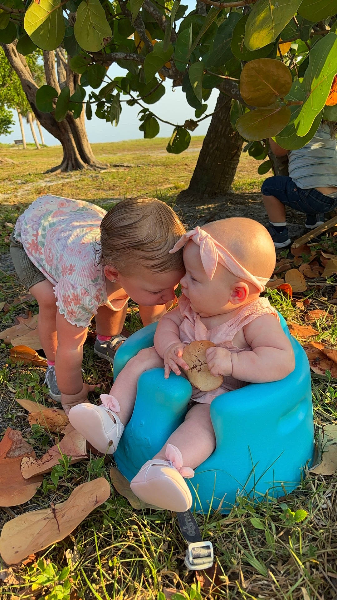 Benelli Raven is registered to the contest to win money with this photo: baby, clothing, face, footwear, grass, hat, head, nature, outdoors, park, person, photography, plant, portrait, pottedplant, shoe, soil, summer, tree, vegetation