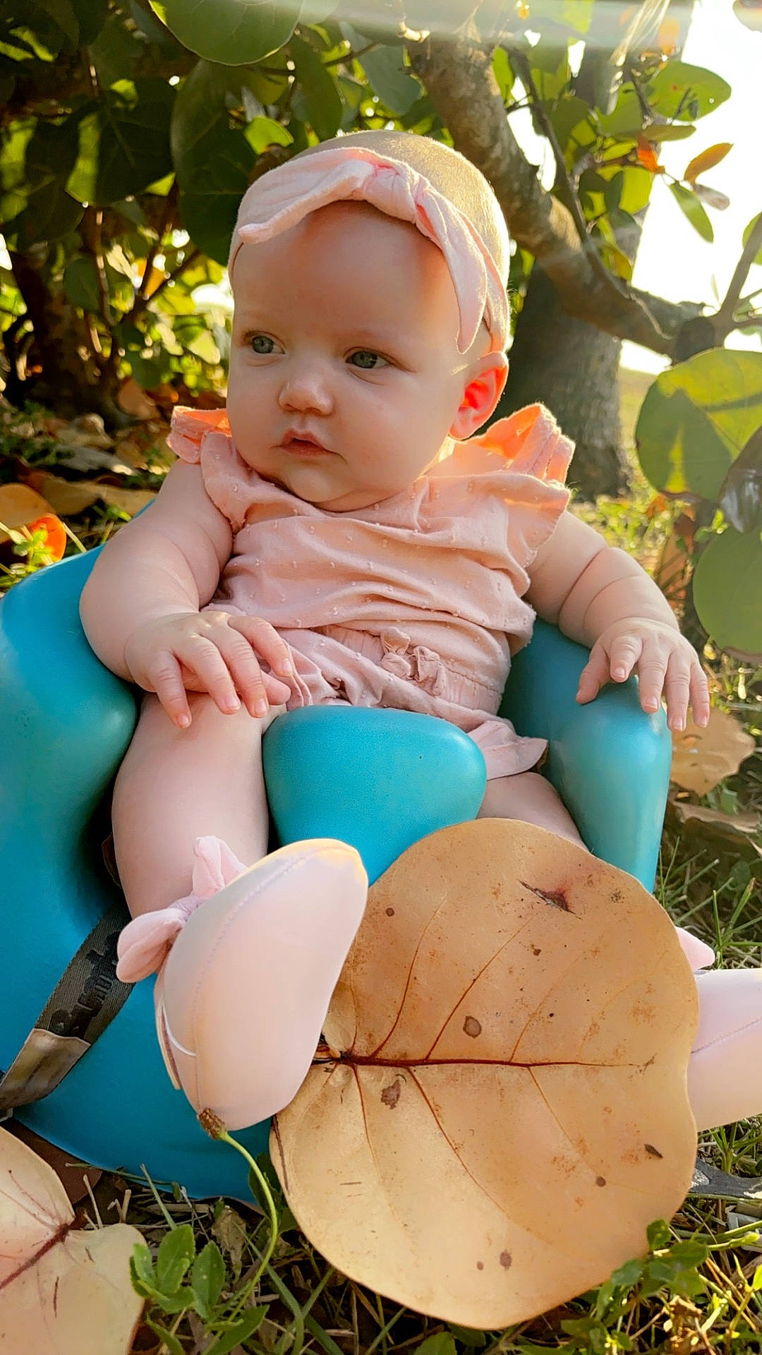 Benelli Raven joined the competition — help win amazing prizes! baby, bathroom, cap, chair, clothing, costume, face, furniture, hat, head, indoors, leaf, person, photography, plant, portrait, room, sitting, toilet, tree