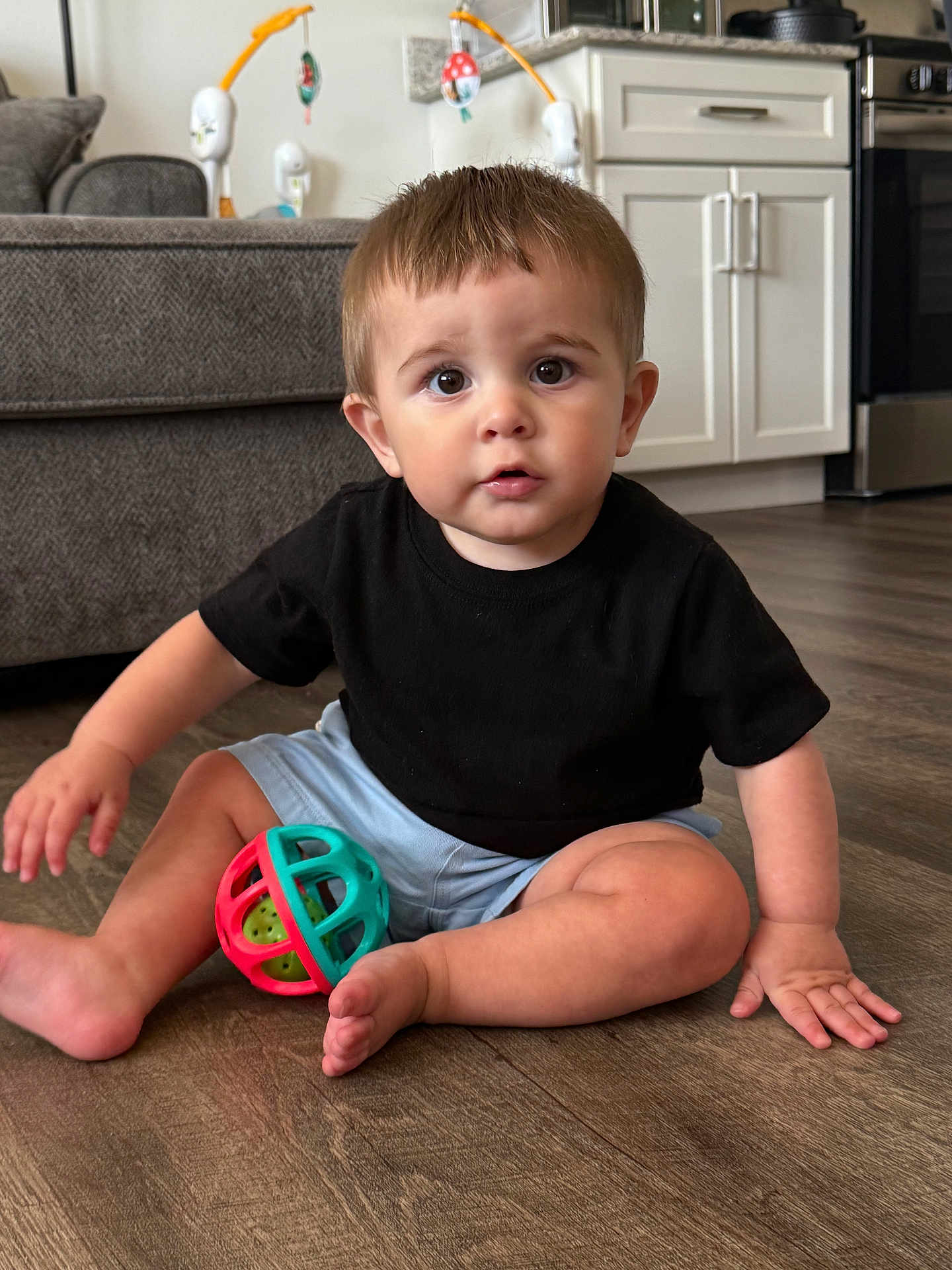 Luka is registered to the contest to win money with this photo: toddler, child, baby, indoor, floor, toy, ball, black_shirt, blue_shorts, barefoot, living_room, couch, kitchen, cabinet, wooden_floor, curious, sitting, person, home, cute