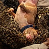 dog, sleeping, relaxed, blanket, cozy, smiling, collar, pet, fur, indoor, comfort, resting, canine, cute, happy, lying_down, bed, snuggly, warm, domestic