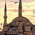 Edr Gabr M.