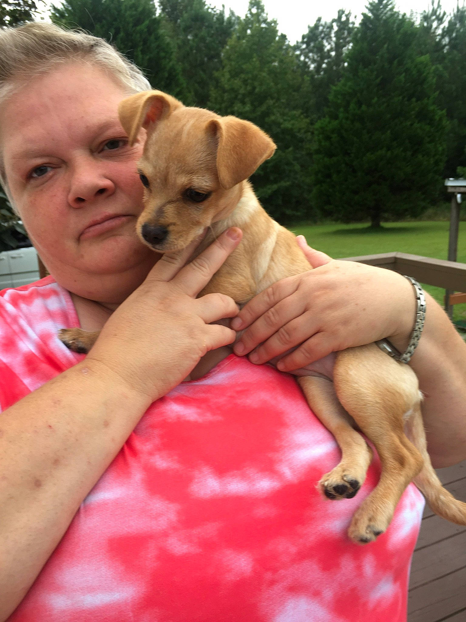 Blitzy joined the competition — help win amazing prizes! adventure, canidae, carnivore, collar, companion_dog, dog, dog_breed, dog_collar, fawn, gesture, grass, happy, leisure, muscle, sky, snout, sporting_group, tree, vacation, working_animal