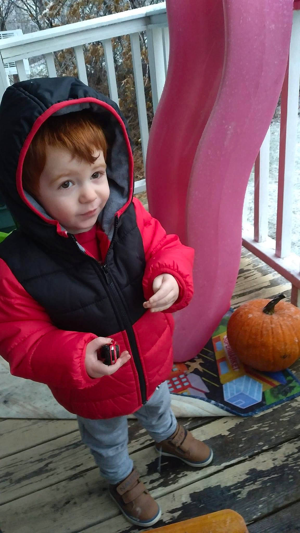 Greyson is registered to the contest to win money with this photo: calabaza, child, chute, clothing, cucurbita, fun, gourd, happy, human_body, leg, leisure, person, plant, pumpkin, shoe, smile, sneakers, toddler, tree, winter_squash