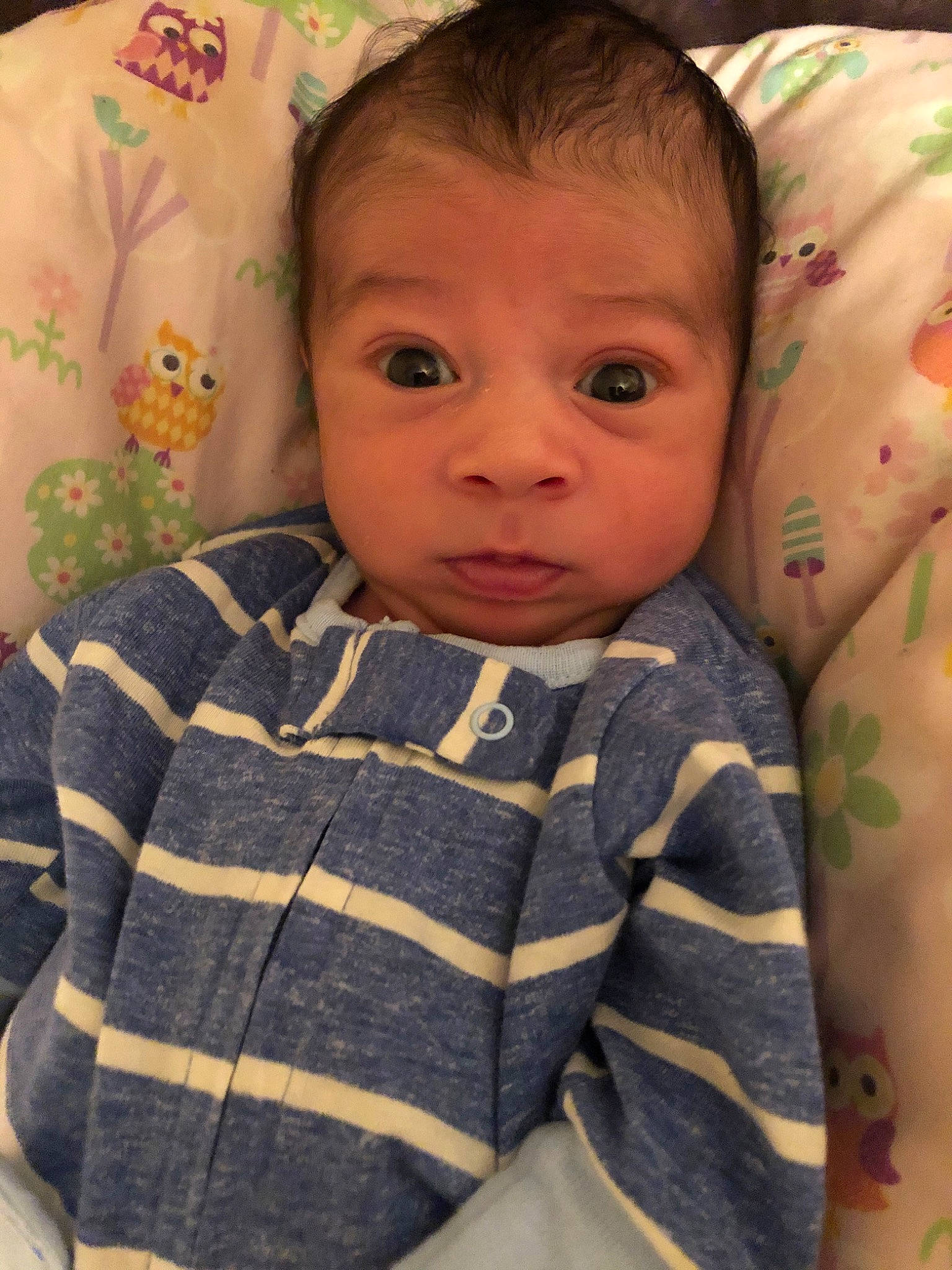 Skai is registered to the contest to win money with this photo: baby, cheek, child, eye, face, head, iris, lip, mouth, nose, person, skin, toddler