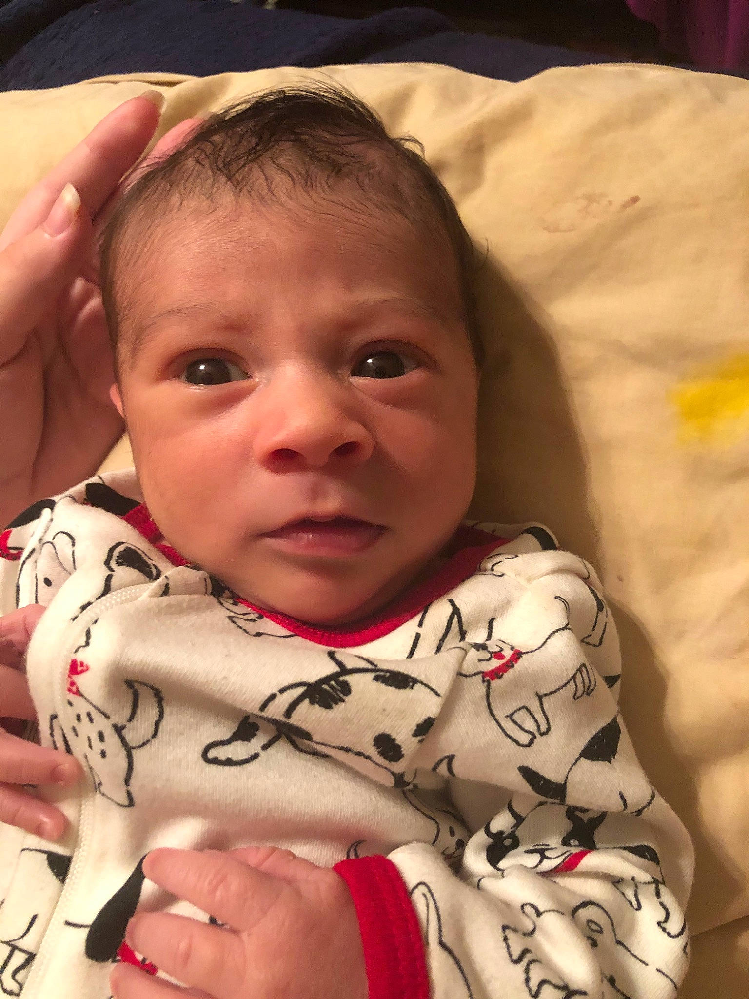 Skai is registered to the contest to win money with this photo: baby, cheek, child, chin, ear, eye, eyebrow, face, facial_expression, finger, forehead, head, iris, lip, mouth, nose, person, skin, smile, toddler