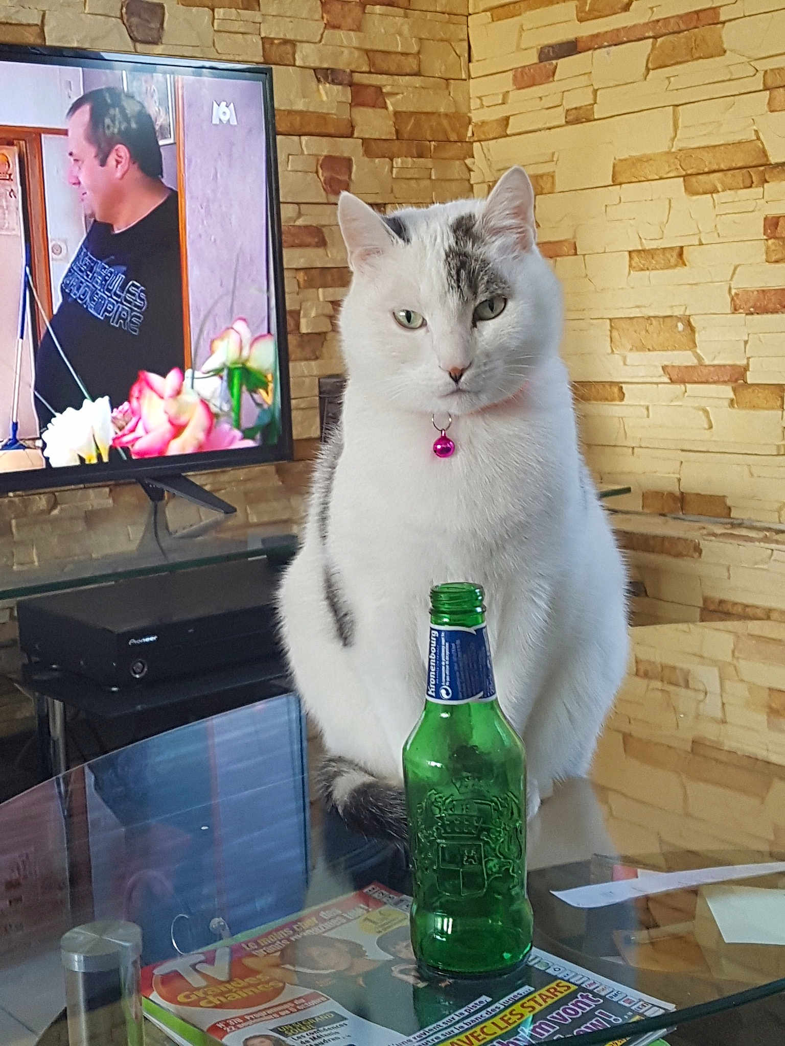 Whisky