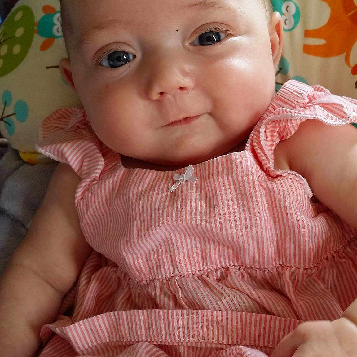 Abigail Rose