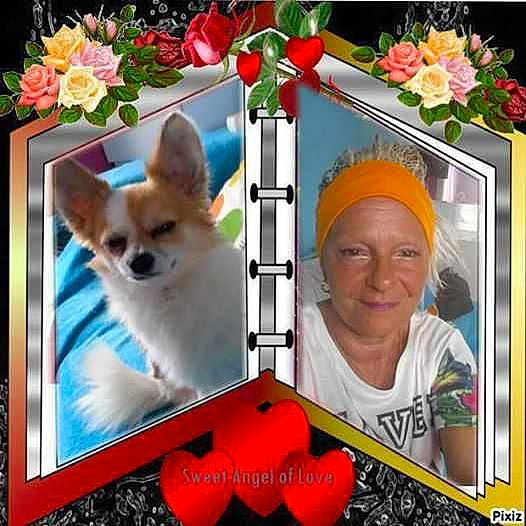 Guismo participe au concours pour gagner de l'argent avec cette photo :