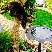 Ozzi is registered to the contest to win money with this photo: