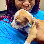 Messiah joined the competition — help win amazing prizes! person, puppy, dog, blue_shirt, dreadlocks, indoor, holding, pet, cute, brown_and_white, blue_eyes, affection, portrait, young, animal, face, hand, closeup, casual, human
