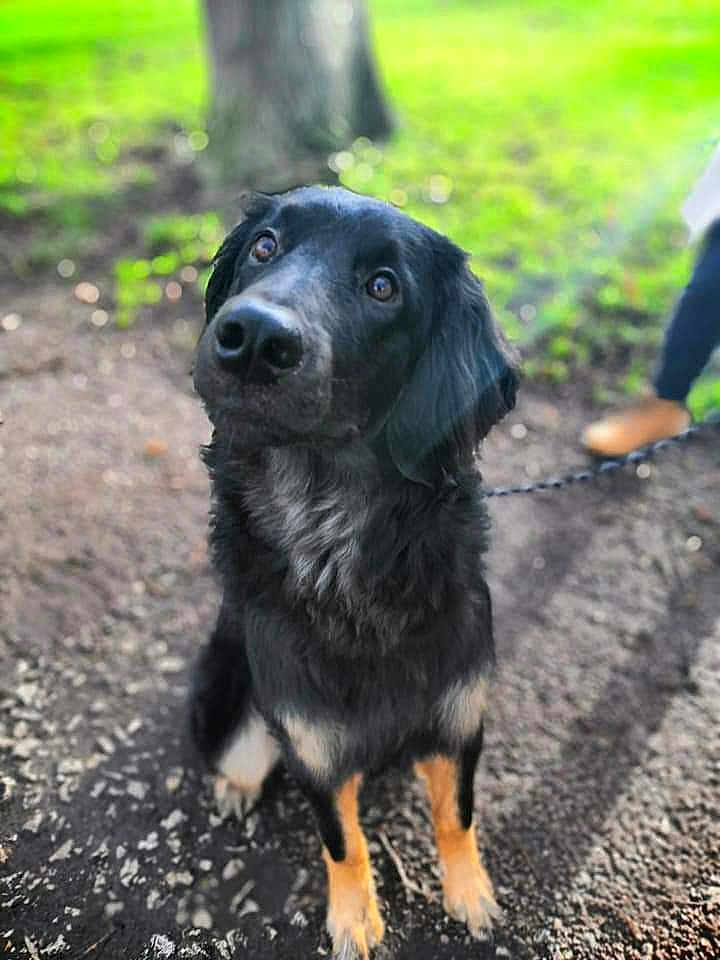 Paco