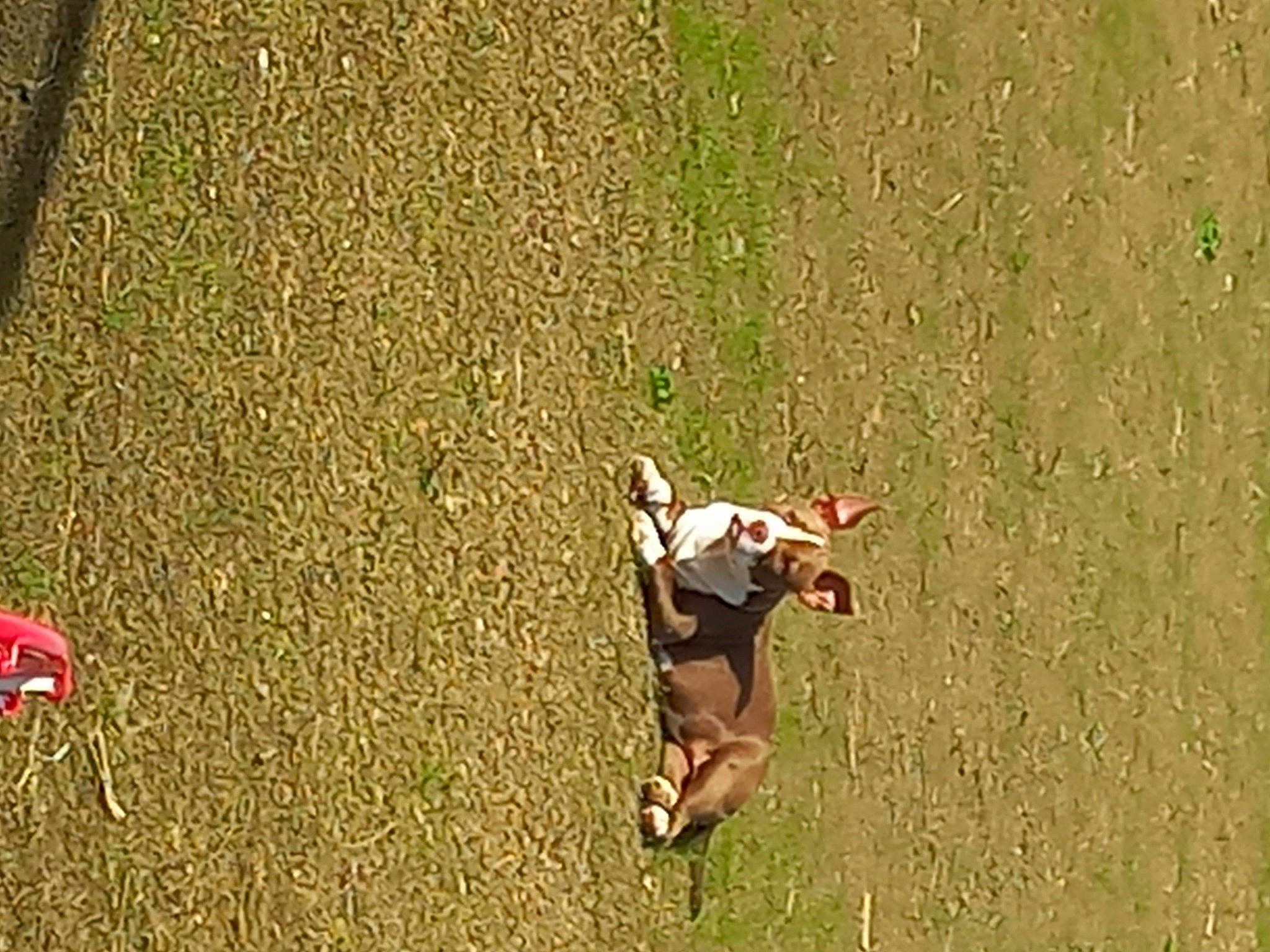 Tempête a rejoint le concours — aidez-le/la à gagner de superbes lots ! adventure, air_sports, competition_event, extreme_sport, field, fun, grass, grassland, landscape, leisure, people_in_nature, plant, player, recreation, shadow, slope, soil, sport_climbing, sports, tree