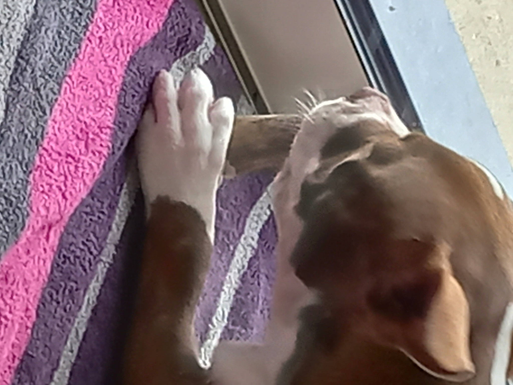 Tempête a rejoint le concours — aidez-le/la à gagner de superbes lots ! art, barechested, chest, fashion_accessory, finger, flesh, foot, gesture, hand, human_leg, jaw, linens, magenta, nail, room, sculpture, selfie, statue, thumb, wrist