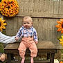 baby, child, bench, outdoor, plaid_shirt, suspenders, wooden_fence, sunflower_wreath, pumpkin, grass, blanket, autumn, fall, cute, person, hand, plaid, pants, shirt, smile