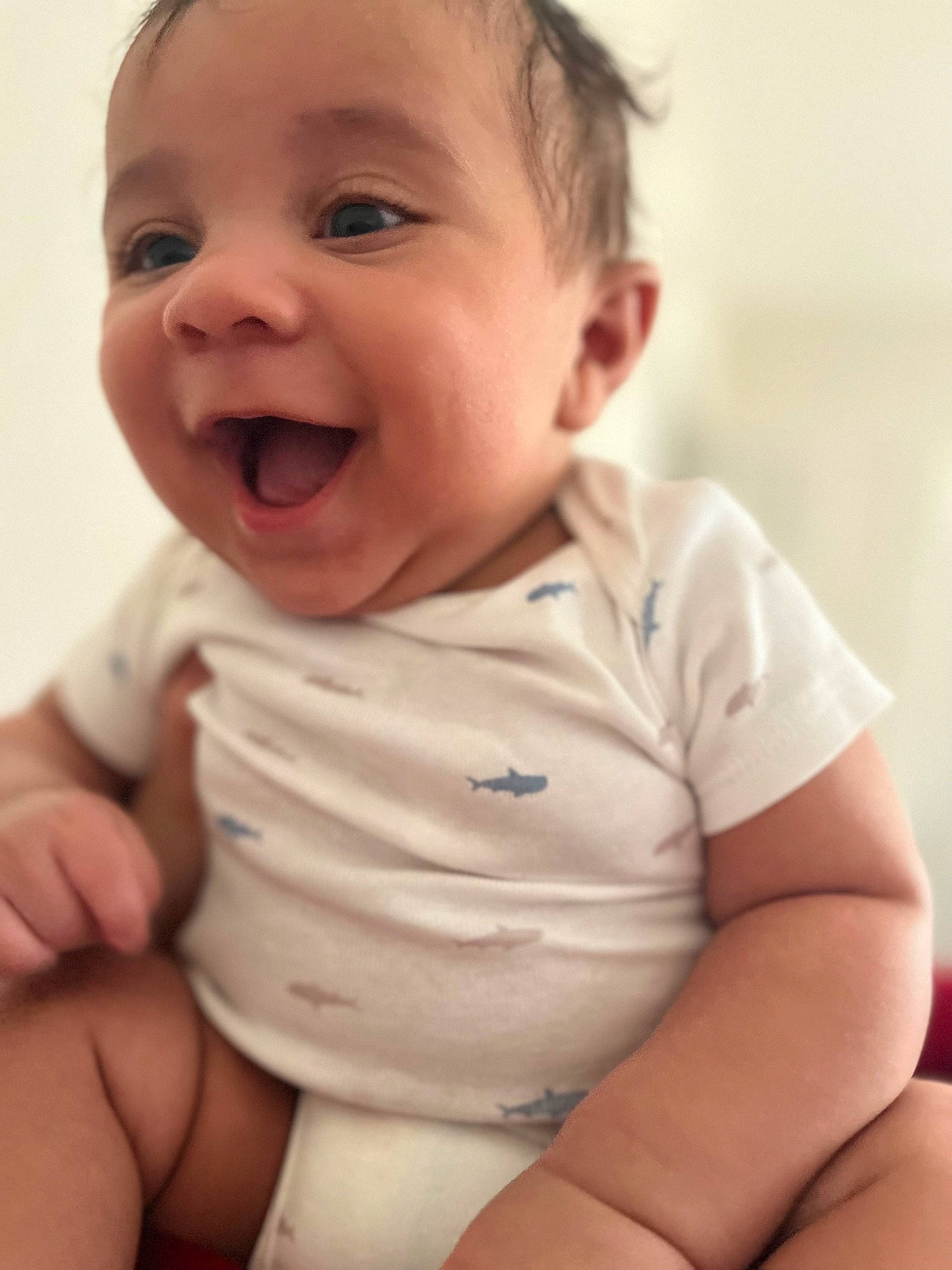 Enzo is registered to the contest to win money with this photo: baby, baby_toddler_clothing, cheek, chin, collar, face, facial_expression, finger, gesture, happy, iris, lip, mouth, muscle, neck, nose, person, skin, sleeve, smile