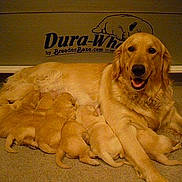 Princess Carly is registered to the contest to win money with this photo: