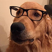 Luke joined the competition — help win amazing prizes!