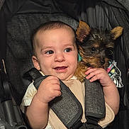 Braxton joined the competition — help win amazing prizes! animal, baby, baby_clothing, child, cute, dog, face, friendship, hand, happy, indoor, infant, pet, portrait, puppy, seatbelt, smile, straps, stroller, young