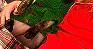 Miko joined the competition — help win amazing prizes! animal, cat, close_up, couch, cozy, domestic, furniture, green_sweater, hairless_cat, hand, home, indoor, knitted, person, pet, plaid, red_clothing, relaxing, resting, warm