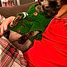 animal, cat, close_up, couch, cozy, domestic, furniture, green_sweater, hairless_cat, hand, home, indoor, knitted, person, pet, plaid, red_clothing, relaxing, resting, warm