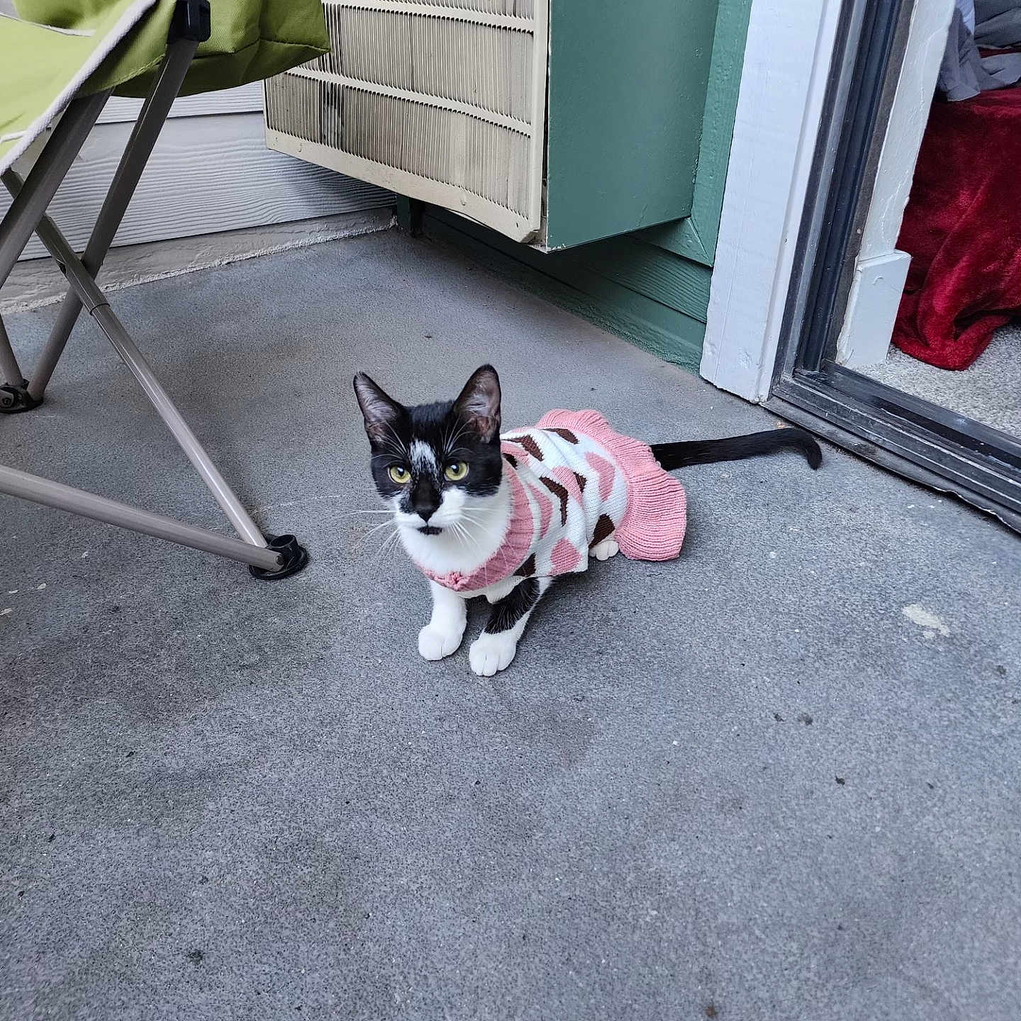 Nala
