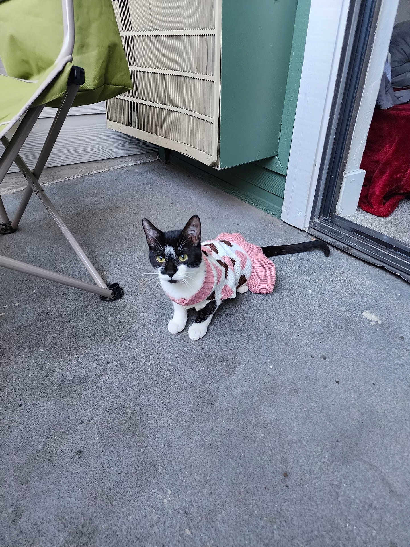 Nala