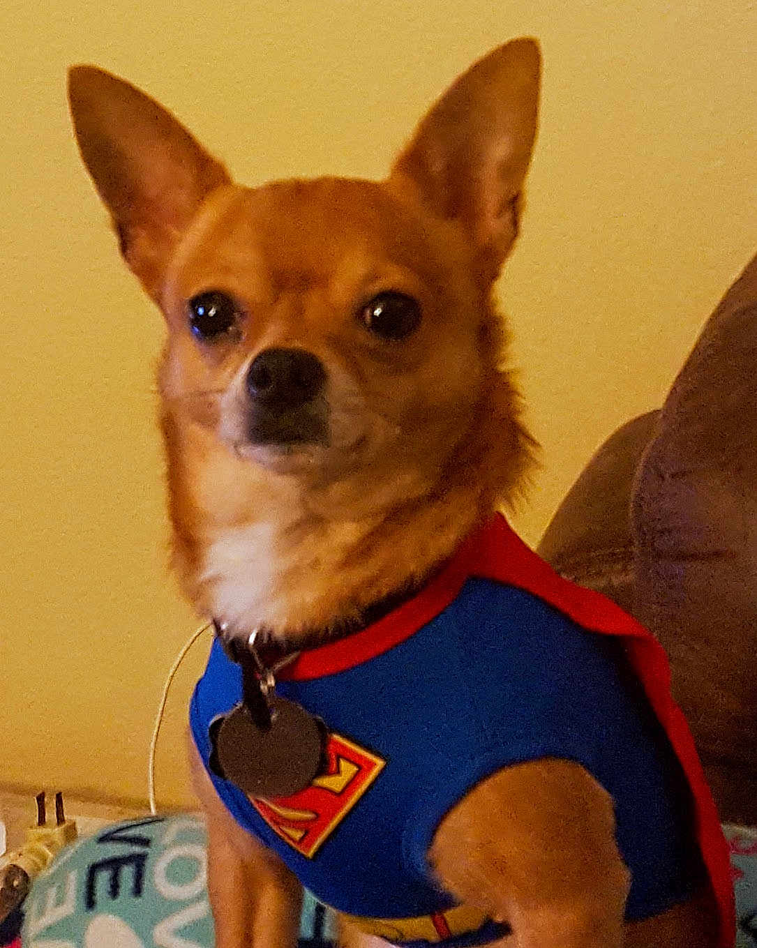 Frankie