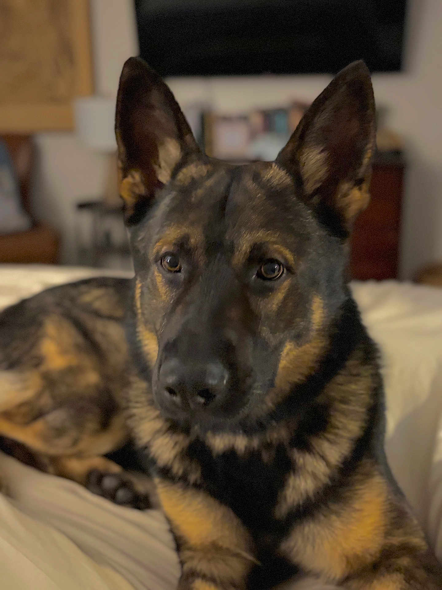 Kaiser