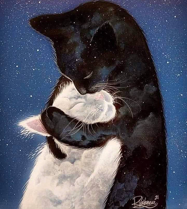 Umy a rejoint le concours — aidez-le/la à gagner de superbes lots ! art, art_paint, astronomical_object, carnivore, cetacea, electric_blue, felidae, fin, fur, illustration, marine_biology, marine_mammal, paint, painting, science, small_to_medium_sized_cats, snout, tail, visual_arts, whiskers