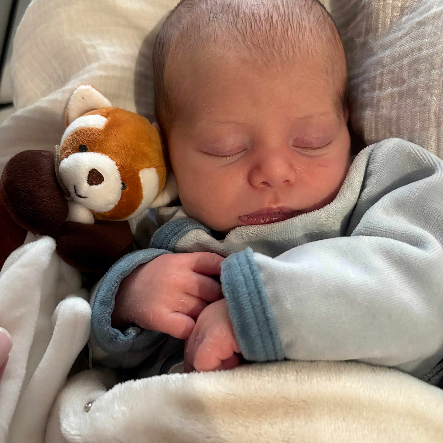 Noham a rejoint le concours — aidez-le/la à gagner de superbes lots ! baby, blanket, child, closeup, clothing, comfort, cozy, cute, face, hands, indoors, infant, newborn, peaceful, plush_toy, resting, sleeping, soft, warm, wrapped