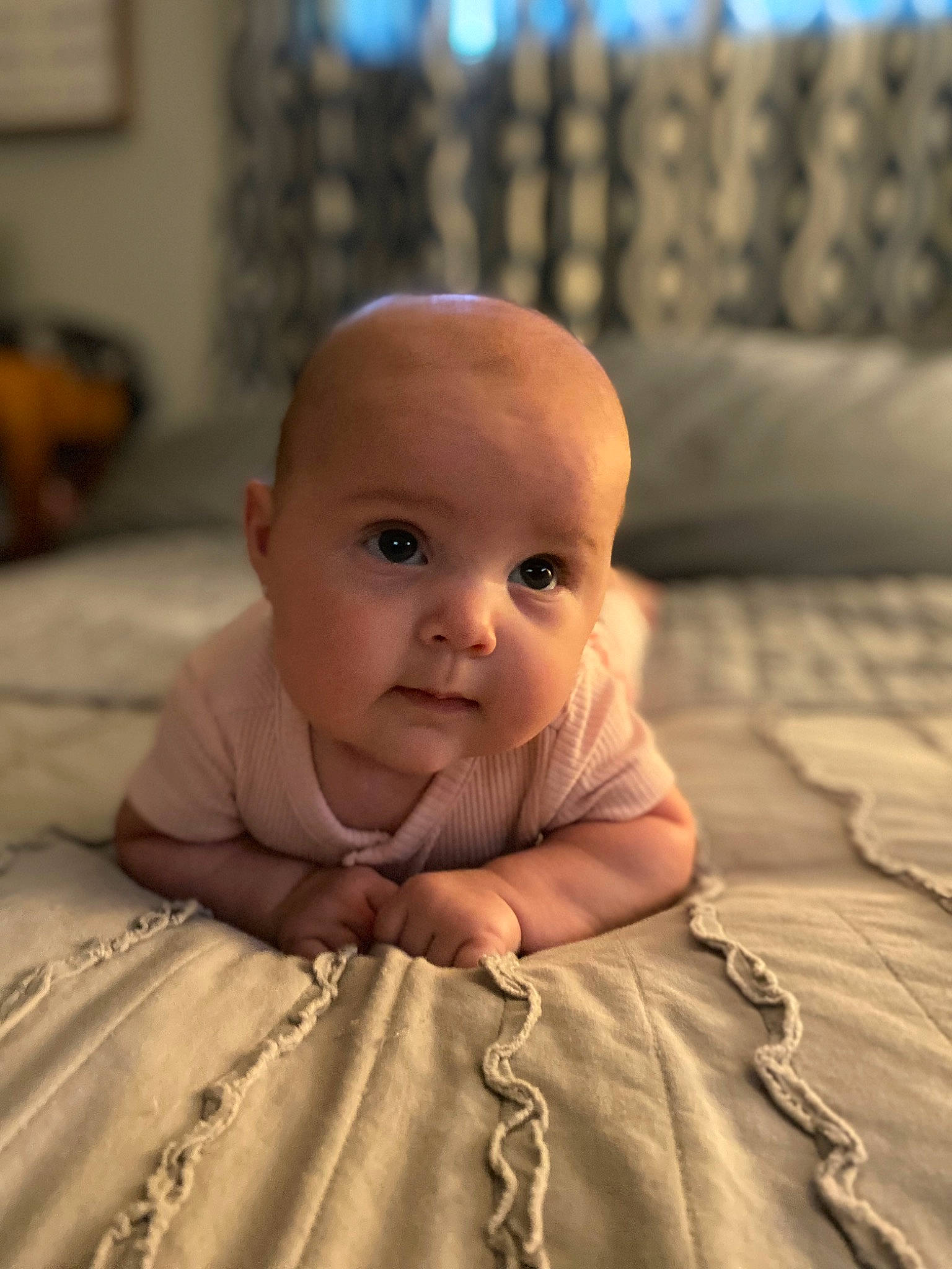 Cora is registered to the contest to win money with this photo: baby, baby_toddler_clothing, bedding, cheek, child, chin, comfort, eye, eyebrow, flooring, happy, hardwood, iris, linens, nose, person, room, sitting, skin, toddler