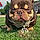 Pootie Tang