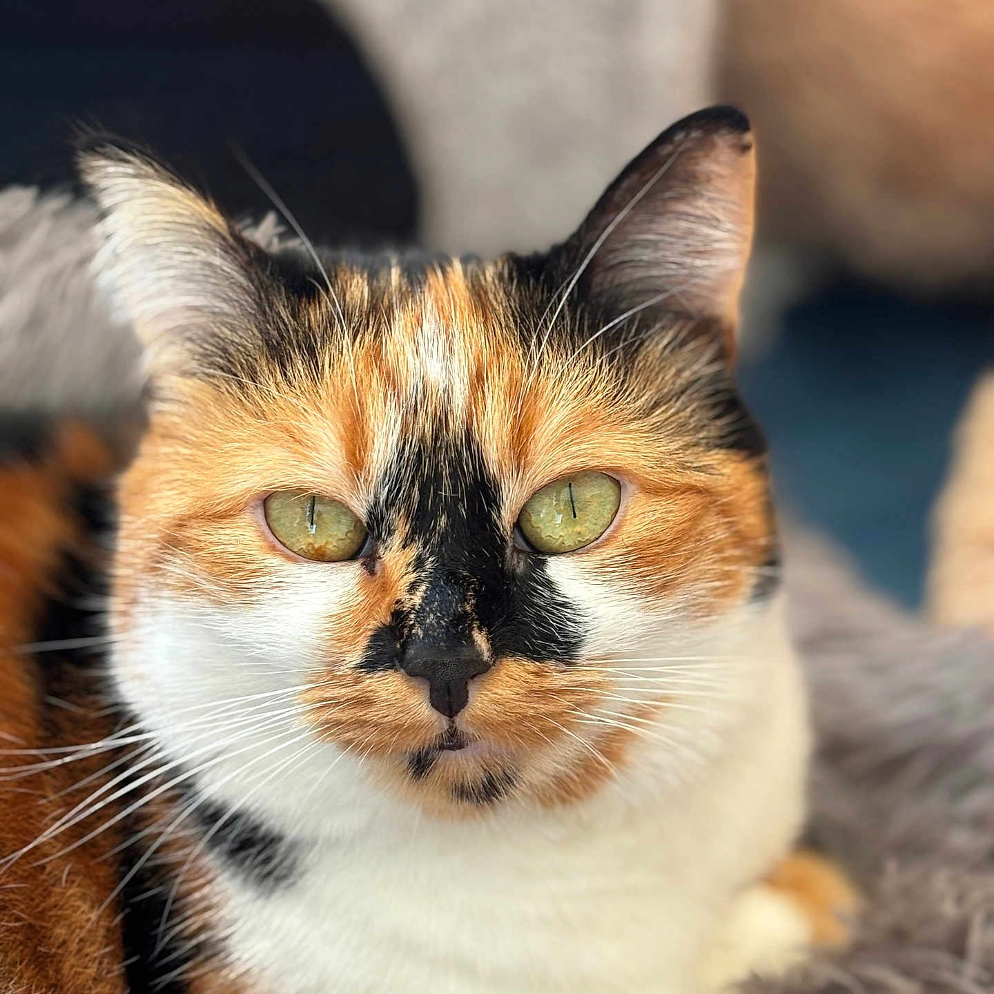 Luna