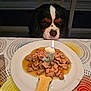 animal, birthday, black, bone_biscuit, brown, candle, celebration, closeup, dog, dog_food, focused, food, indoor, number_3, pet, plate, table, tablecloth, wet_food, white