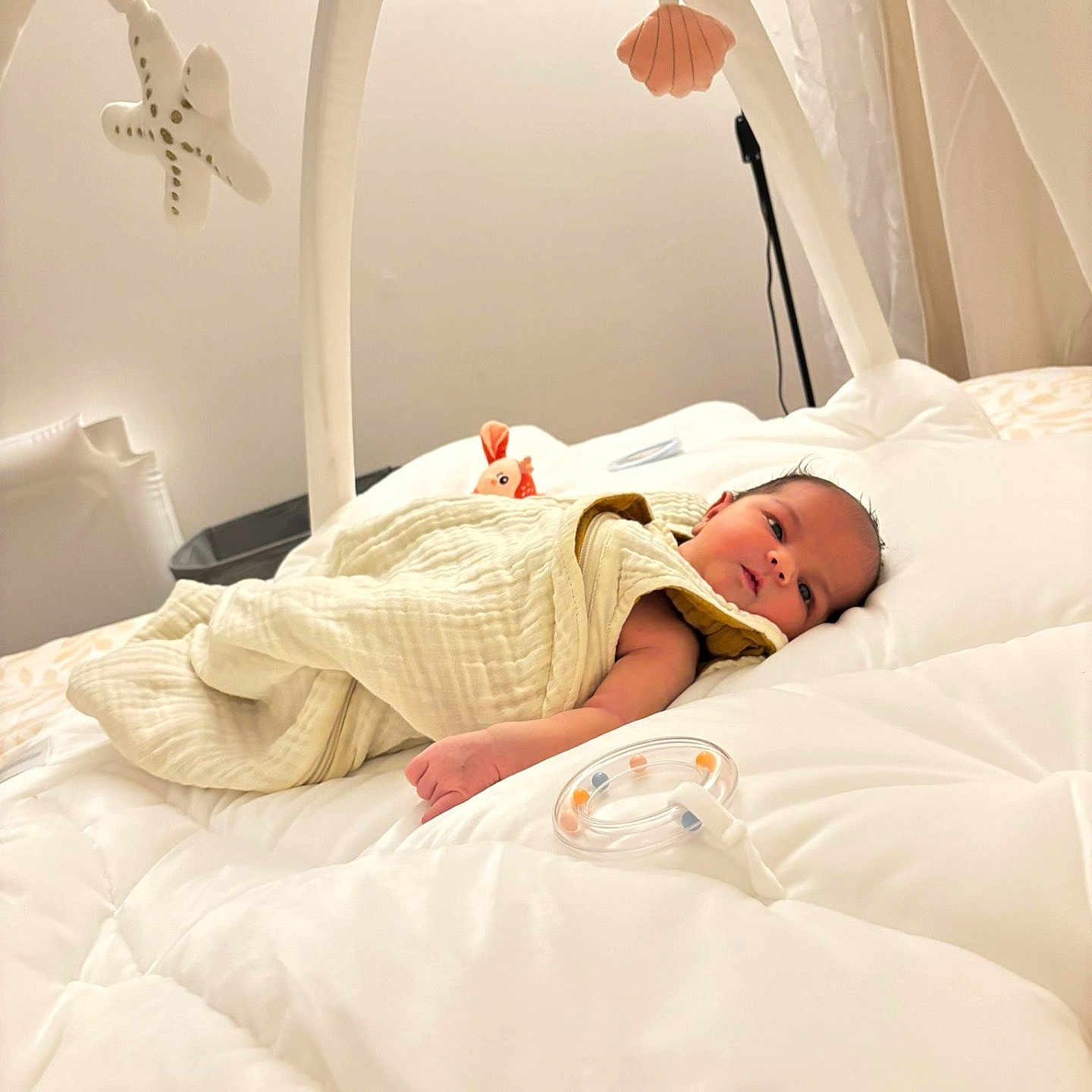 Tessah participe au concours pour gagner de l'argent avec cette photo : baby, bed, blanket, calm, child, cozy, cute, indoor, infant, mobile, newborn, nursery, peaceful, shell, sleeping_area, soft_toys, starfish, toy, white, wrapped