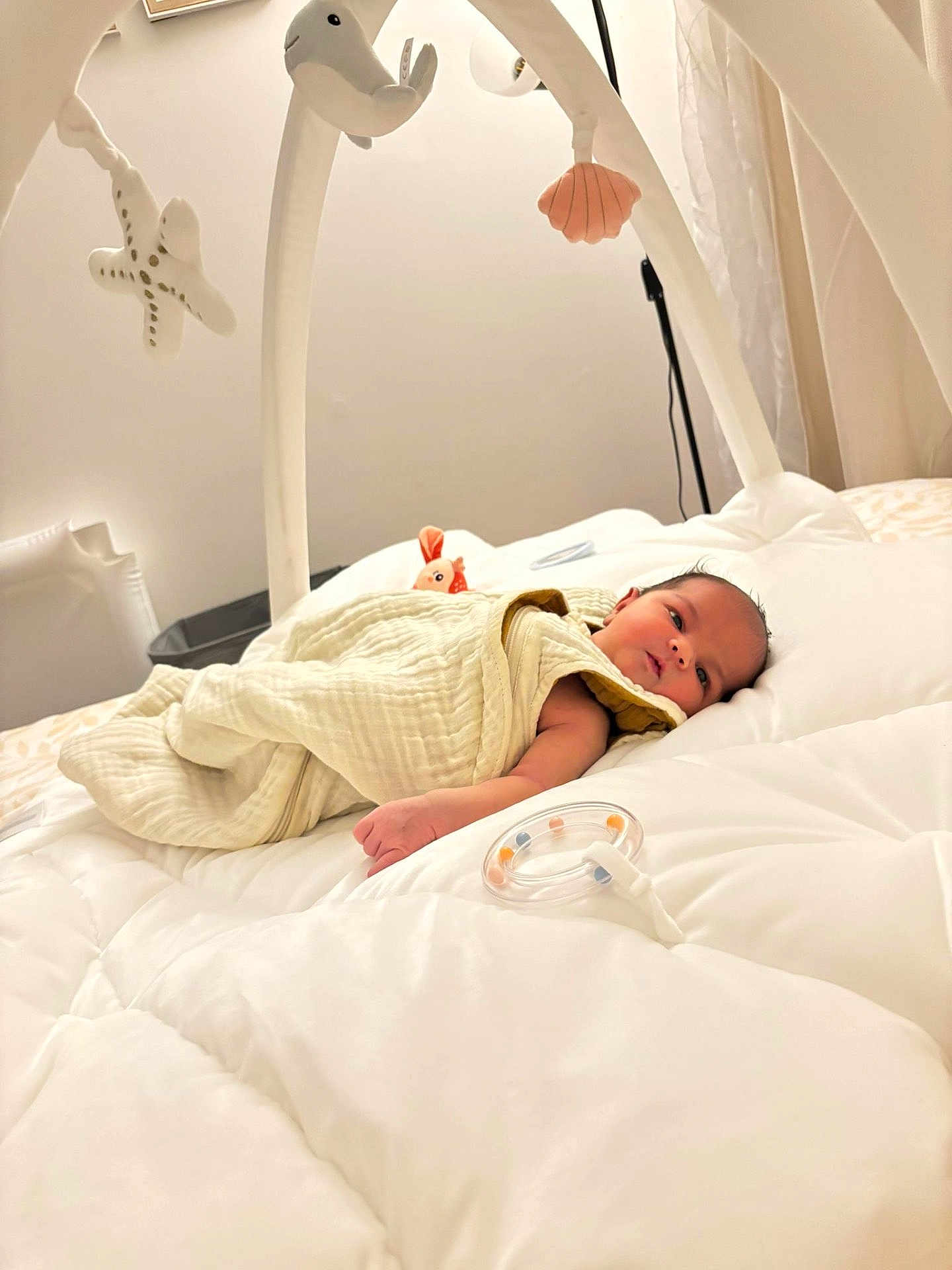 Tessah participe au concours pour gagner de l'argent avec cette photo : baby, bed, blanket, calm, child, cozy, cute, indoor, infant, mobile, newborn, nursery, peaceful, shell, sleeping_area, soft_toys, starfish, toy, white, wrapped
