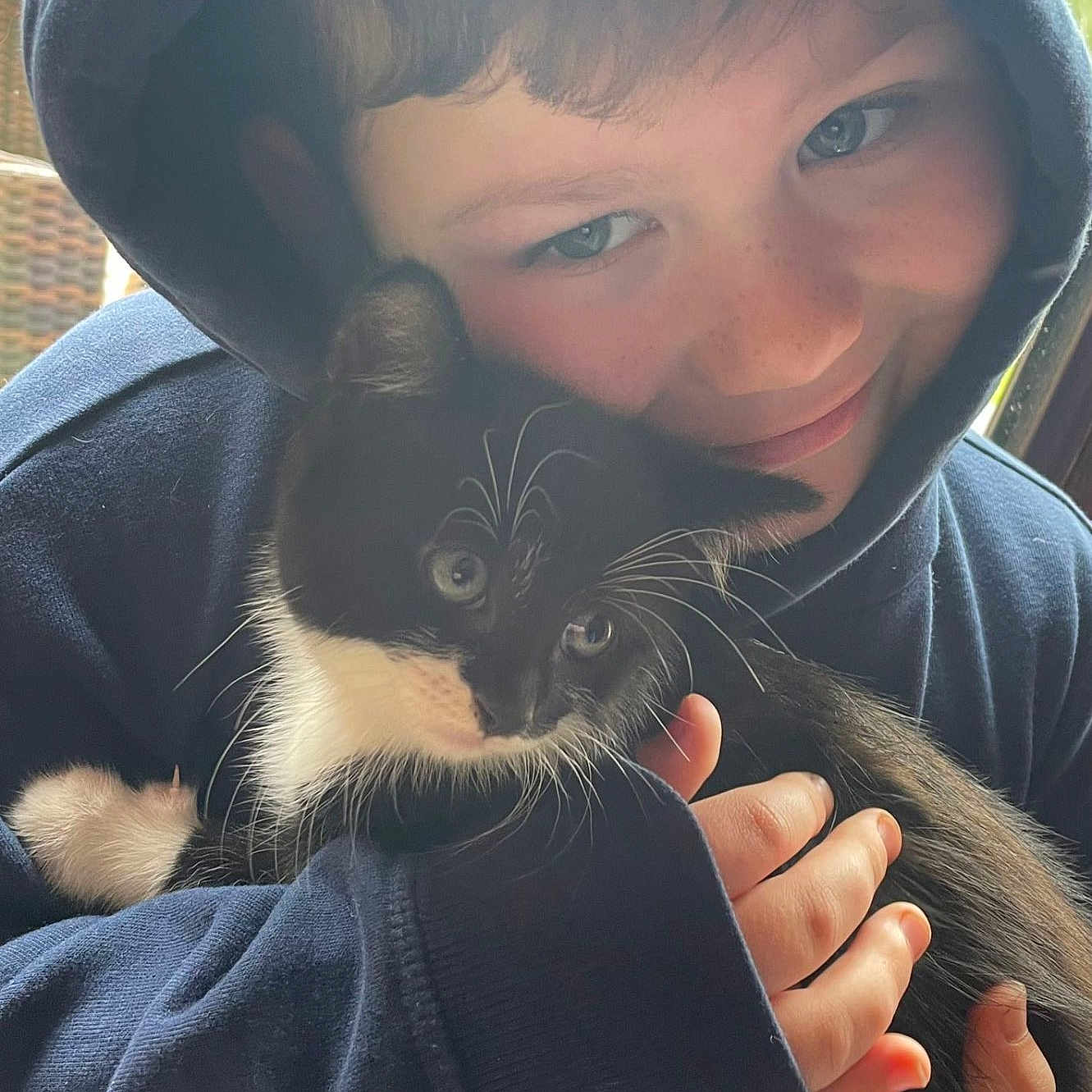 Arlo is registered to the contest to win money with this photo: animal, baby, blanket, cat, clothing, coat, face, hat, head, hood, hoodie, jacket, kitten, knitwear, person, pet, photography, portrait, sweater, sweatshirt