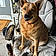 Roxy