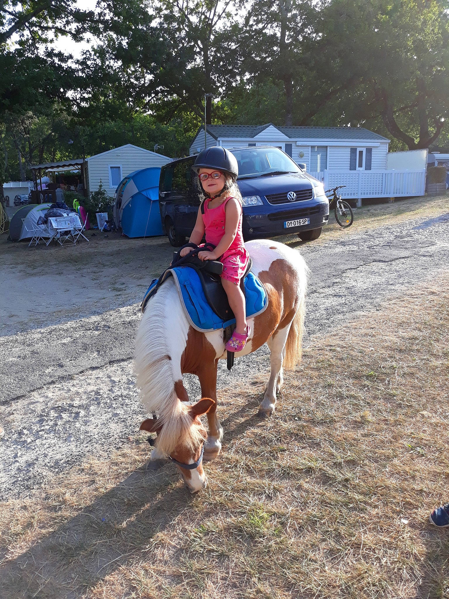 Melhyna a rejoint le concours — aidez-le/la à gagner de superbes lots ! animal_sports, bridle, equestrianism, headwear, horse, horse_harness, horse_like_mammal, horse_supplies, horse_tack, livestock, mane, mare, pack_animal, person, ranch, rein, saddle, stallion, trail_riding, tree